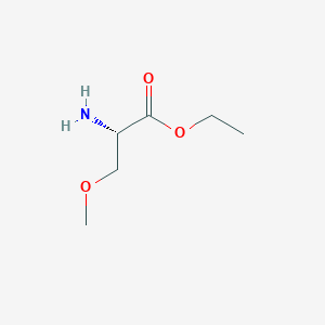 molecular formula C6H13NO3 B13244517 ethyl (2S)-2-amino-3-methoxypropanoate 