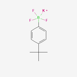 molecular formula C10H13BF3K B1324520 Potassium 4-tert-butylphenyltrifluoroborate CAS No. 423118-47-2