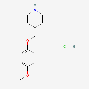 molecular formula C13H20ClNO2 B1324584 4-(4-甲氧基苯氧甲基)-哌啶盐酸盐 CAS No. 1135262-90-6