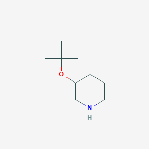 molecular formula C9H19NO B13247753 3-(Tert-butoxy)piperidine 