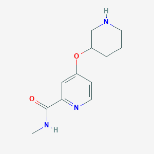 molecular formula C12H17N3O2 B13248303 N-Methyl-4-(piperidin-3-yloxy)pyridine-2-carboxamide 