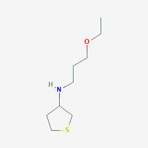 molecular formula C9H19NOS B13248394 N-(3-ethoxypropyl)thiolan-3-amine 