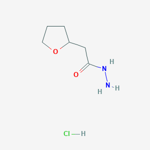 2-(Oxolan-2-yl)acetohydrazide hydrochloride