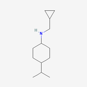 molecular formula C13H25N B13249955 N-(Cyclopropylmethyl)-4-(propan-2-yl)cyclohexan-1-amine 