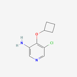 molecular formula C9H11ClN2O B13250245 5-Chloro-4-cyclobutoxypyridin-3-amine 