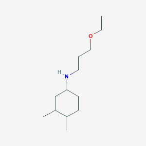 molecular formula C13H27NO B13250939 N-(3-ethoxypropyl)-3,4-dimethylcyclohexan-1-amine 