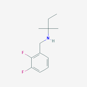 [(2,3-Difluorophenyl)methyl](2-methylbutan-2-yl)amine