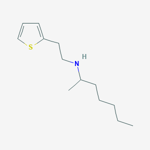 molecular formula C13H23NS B13251356 (Heptan-2-yl)[2-(thiophen-2-yl)ethyl]amine 