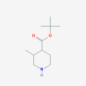 molecular formula C11H21NO2 B13251476 3-Methyl-piperidine-4-carboxylic acid tert-butyl ester 