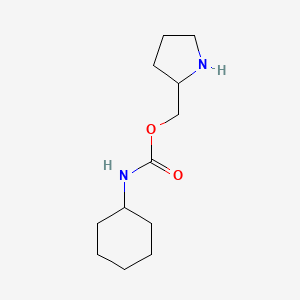 molecular formula C12H22N2O2 B13252702 Pyrrolidin-2-ylmethyl cyclohexylcarbamate 