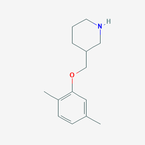 molecular formula C14H21NO B1325366 3-[(2,5-Dimethylphenoxy)methyl]piperidine CAS No. 946787-23-1