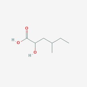 molecular formula C7H14O3 B13254629 2-Hydroxy-4-methylhexanoic acid 