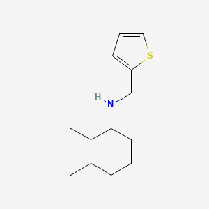 molecular formula C13H21NS B13256427 2,3-dimethyl-N-(thiophen-2-ylmethyl)cyclohexan-1-amine 