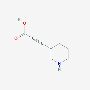 molecular formula C8H11NO2 B13257013 3-(Piperidin-3-yl)prop-2-ynoic acid 