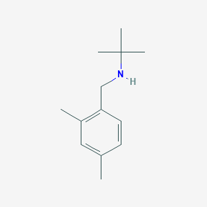 Tert-butyl[(2,4-dimethylphenyl)methyl]amine