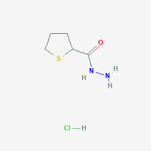 molecular formula C5H11ClN2OS B13257242 Thiolane-2-carbohydrazide hydrochloride 