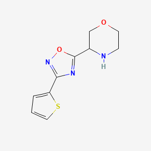 3-[3-(Thiophen-2-yl)-1,2,4-oxadiazol-5-yl]morpholine