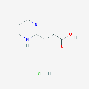 molecular formula C7H13ClN2O2 B13258745 3-(1,4,5,6-Tetrahydropyrimidin-2-yl)propanoic acid hydrochloride 