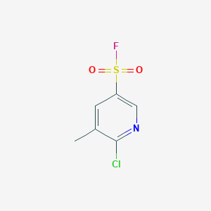 molecular formula C6H5ClFNO2S B13259005 6-Chloro-5-methylpyridine-3-sulfonyl fluoride 