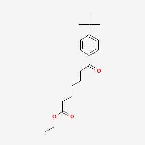 molecular formula C19H28O3 B1325948 7-(4-叔丁基苯基)-7-酮庚酸乙酯 CAS No. 898778-47-7