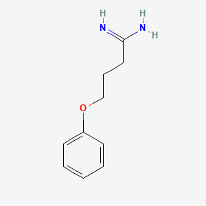 molecular formula C10H14N2O B13259514 4-Phenoxybutanimidamide 