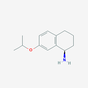 molecular formula C13H19NO B13259861 (1R)-7-(Propan-2-yloxy)-1,2,3,4-tetrahydronaphthalen-1-amine 