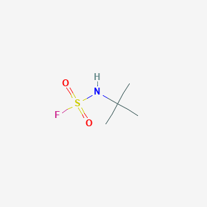 molecular formula C4H10FNO2S B13260031 N-tert-butylsulfamoyl fluoride 