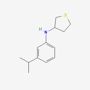 N-[3-(Propan-2-yl)phenyl]thiolan-3-amine