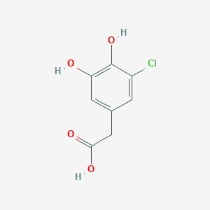 molecular formula C8H7ClO4 B13261256 2-(3-Chloro-4,5-dihydroxyphenyl)acetic acid 