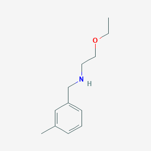 molecular formula C12H19NO B13261335 (2-Ethoxyethyl)[(3-methylphenyl)methyl]amine 