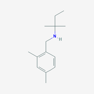 molecular formula C14H23N B13261452 [(2,4-Dimethylphenyl)methyl](2-methylbutan-2-YL)amine 