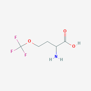 molecular formula C5H8F3NO3 B13261551 2-Amino-4-(trifluoromethoxy)butanoic acid 