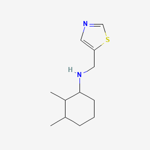 2,3-Dimethyl-N-(thiazol-5-ylmethyl)cyclohexan-1-amine