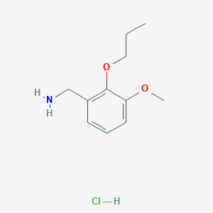 molecular formula C11H18ClNO2 B1326271 (3-甲氧基-2-丙氧基苯基)甲胺盐酸盐 CAS No. 89411-11-0