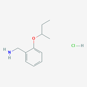 molecular formula C11H18ClNO B1326501 (2-Sec-butoxybenzyl)amine hydrochloride CAS No. 1158582-19-4