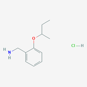 molecular formula C11H18ClNO B1326501 (2-セク-ブトキシベンジル)アミン塩酸塩 CAS No. 1158582-19-4