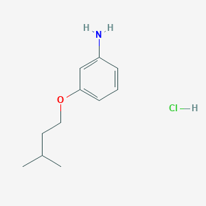 molecular formula C11H18ClNO B1326502 3-(异戊氧基)苯胺盐酸盐 CAS No. 1135289-27-8