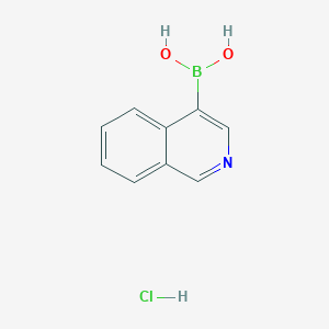 molecular formula C9H9BClNO2 B1326509 异喹啉-4-硼酸盐酸盐 CAS No. 677702-23-7