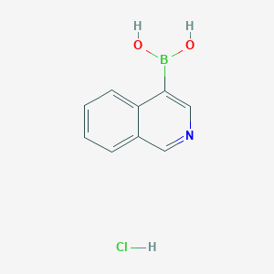 molecular formula C9H9BClNO2 B1326509 イソキノリン-4-ボロン酸塩酸塩 CAS No. 677702-23-7