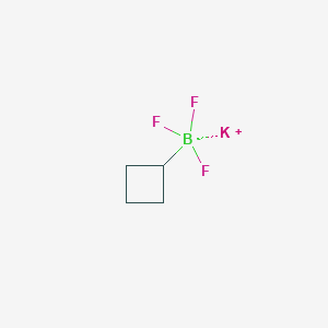 molecular formula C4H7BF3K B1326517 Potassium cyclobutyltrifluoroboranuide CAS No. 1065010-88-9