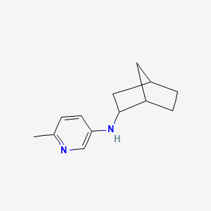 N-{bicyclo[2.2.1]heptan-2-yl}-6-methylpyridin-3-amine