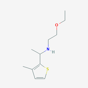 molecular formula C11H19NOS B13268643 (2-Ethoxyethyl)[1-(3-methylthiophen-2-yl)ethyl]amine 