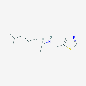 molecular formula C12H22N2S B13269155 6-Methyl-N-(thiazol-5-ylmethyl)heptan-2-amine 