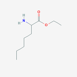 molecular formula C9H19NO2 B13270196 Ethyl 2-aminoheptanoate 