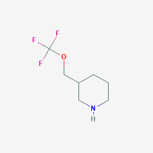 molecular formula C7H12F3NO B13270343 3-[(Trifluoromethoxy)methyl]piperidine 