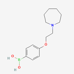 {4-[2-(Azepan-1-yl)ethoxy]phenyl}boronic acid