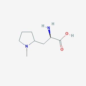 molecular formula C8H16N2O2 B13271364 (2R)-2-Amino-3-(1-methylpyrrolidin-2-yl)propanoic acid 