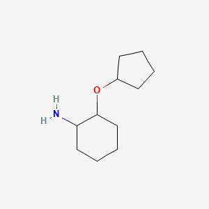 molecular formula C11H21NO B13272451 2-Cyclopentyloxy-cyclohexylamine 