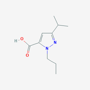 molecular formula C10H16N2O2 B13272799 3-(Propan-2-YL)-1-propyl-1H-pyrazole-5-carboxylic acid 