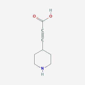 molecular formula C8H11NO2 B13273611 3-(Piperidin-4-yl)prop-2-ynoic acid 